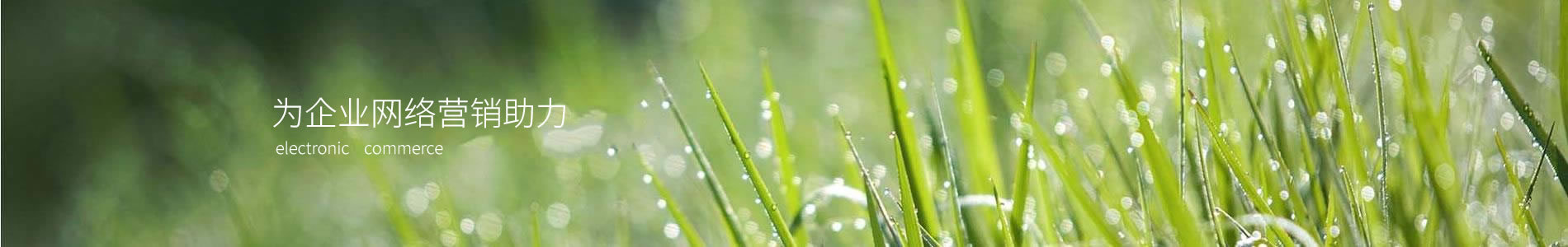 Ľʥ޹˾